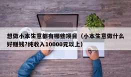 想做小本生意都有哪些项目（小本生意做什么好赚钱?纯收入10000元以上）