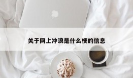 关于网上冲浪是什么梗的信息