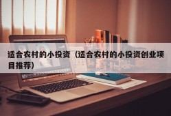 适合农村的小投资（适合农村的小投资创业项目推荐）