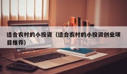 适合农村的小投资（适合农村的小投资创业项目推荐）