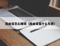 路由宝怎么赚钱（路由宝是什么东西）