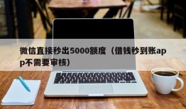 微信直接秒出5000额度（借钱秒到账app不需要审核）