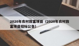 2020年农村致富项目（2020年农村致富项目招标公告）