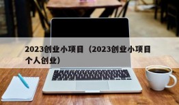 2023创业小项目（2023创业小项目 个人创业）