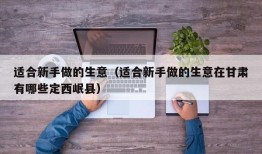 适合新手做的生意（适合新手做的生意在甘肃有哪些定西岷县）