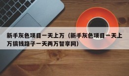 新手灰色项目一天上万（新手灰色项目一天上万搞钱路子一天两万智享网）