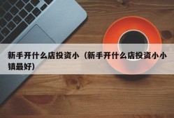 新手开什么店投资小（新手开什么店投资小小镇最好）