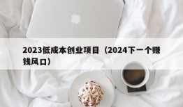 2023低成本创业项目（2024下一个赚钱风口）