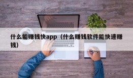 什么能赚钱快app（什么赚钱软件能快速赚钱）