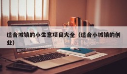 适合城镇的小生意项目大全（适合小城镇的创业）