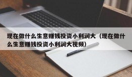 现在做什么生意赚钱投资小利润大（现在做什么生意赚钱投资小利润大视频）