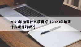 2023年加盟什么项目好（2023年加盟什么项目好呢?）