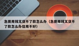 急需用钱又贷不了款怎么办（急需用钱又贷不了款怎么办信用不好）