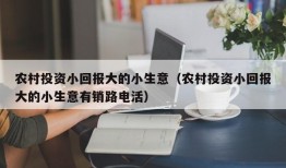 农村投资小回报大的小生意（农村投资小回报大的小生意有销路电活）