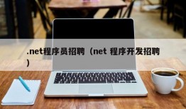 .net程序员招聘（net 程序开发招聘）