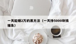 一天能赚2万的黑方法（一天挣5000块钱捕鱼）