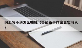 网上写小说怎么赚钱（番茄新手作家真实收入）