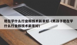 现在学什么行业和技术前景好（男孩子现在学什么行业和技术前景好）