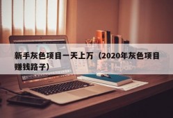 新手灰色项目一天上万（2020年灰色项目赚钱路子）