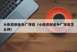 小投资创业办厂项目（小投资创业办厂项目怎么样）