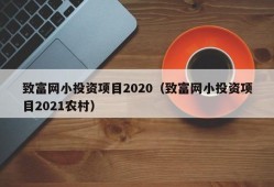 致富网小投资项目2020（致富网小投资项目2021农村）