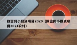 致富网小投资项目2020（致富网小投资项目2021农村）