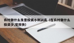 农村做什么生意投资小利润高（在农村做什么投资少,见效快）