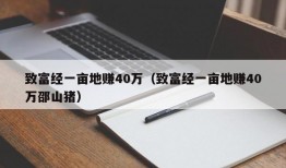 致富经一亩地赚40万（致富经一亩地赚40万邵山猪）