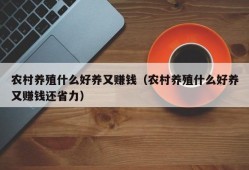 农村养殖什么好养又赚钱（农村养殖什么好养又赚钱还省力）