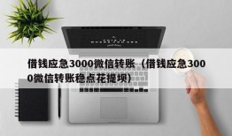 借钱应急3000微信转账（借钱应急3000微信转账稳点花提坝）