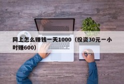 网上怎么赚钱一天1000（投资30元一小时赚600）