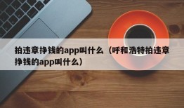 拍违章挣钱的app叫什么（呼和浩特拍违章挣钱的app叫什么）