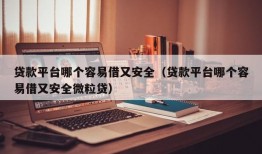 贷款平台哪个容易借又安全（贷款平台哪个容易借又安全微粒贷）