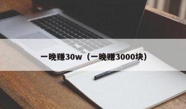 一晚赚30w（一晚赚3000块）