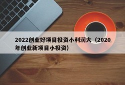 2022创业好项目投资小利润大（2020年创业新项目小投资）