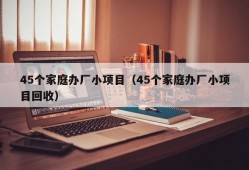 45个家庭办厂小项目（45个家庭办厂小项目回收）