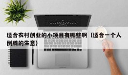 适合农村创业的小项目有哪些啊（适合一个人倒腾的生意）